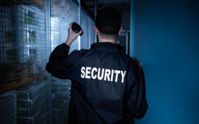 Agents de sécurité pour les magasins à Lyon :Quels sont les critères pour devenir agent de sécurité pour les magasins à Lyon ?