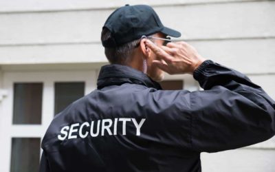 Les agents de sécurité à Lyon: Respect des lois et règlements dans les boîtes de nuit